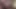 shemale lingerie sounding dildo sissy 5