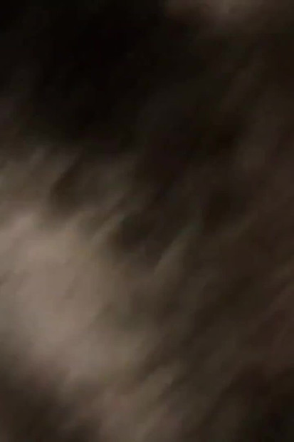 Prostitute with a fat Hairy Ass & Loose Butthole Lets Me Fuck Raw & Cum Inside for a Few Bucks (太った毛むくじゃらの尻と緩いお尻の穴を持つ売春婦が、生でファックして中に射精させてくれる)