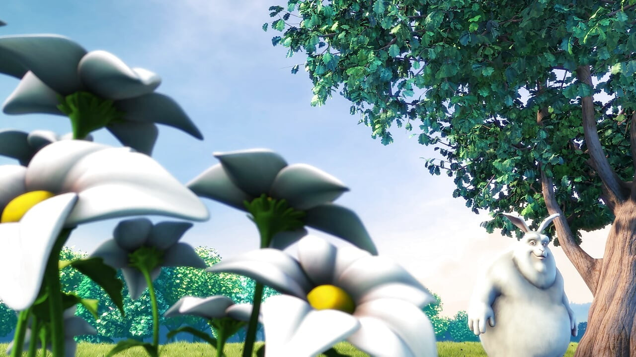 This video should generate gallery n shorts