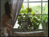 Pratinjau video