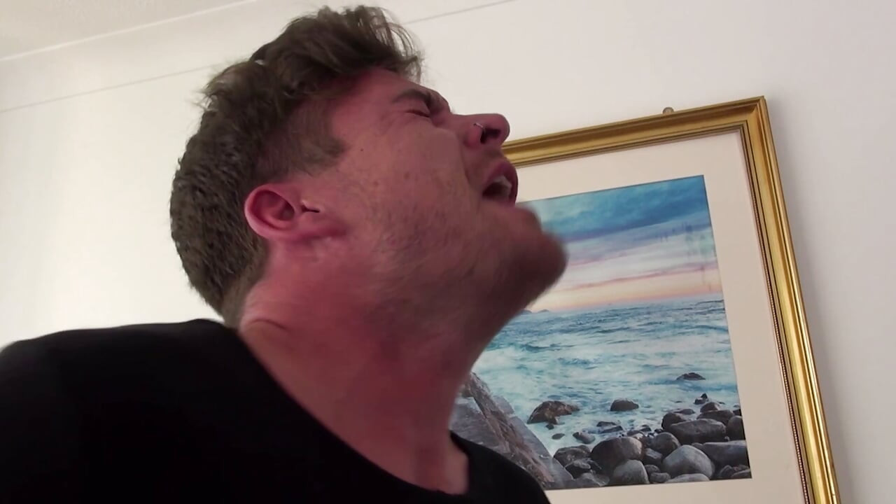 Británicos