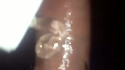 Sandra. I want you. Tribute. Cocking and Lube.