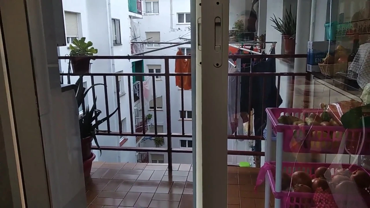 Büyük mükemmel yarak, sivri damarlar, mastürbasyon, inleme ve boşalma komşuları tarafından gözleniyor, beni izliyor musun?