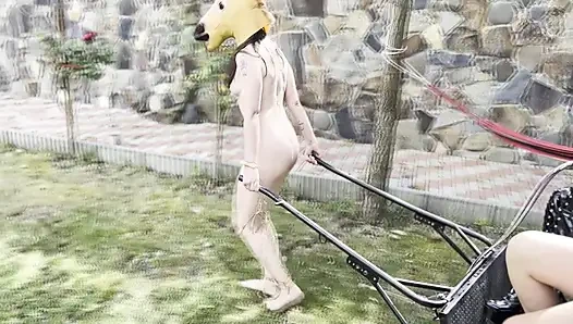 Midilli kız kırbaçlanıyor, sağılıyor ve sert yaralanıyor - aşırı lezbiyen midilli eğitimi