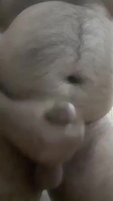 Lahore Gay Bear moustache