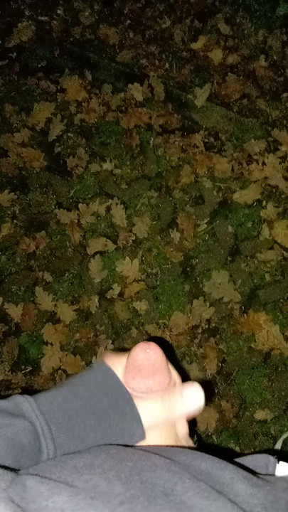 Slina tijekom krstarenja