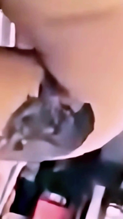 I sucked my 55m photographer’s big dick taking it all down in my throat doing a perfect homemade blowjob close up in 4k . Hot!! | Clip 2