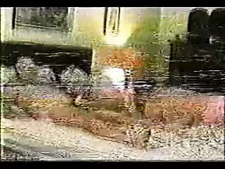 A Visit From Palestine