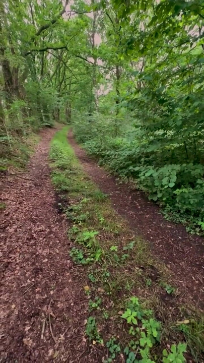 Teenager running along a forest path | Clip 1