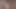 Trans Cock Erection 369