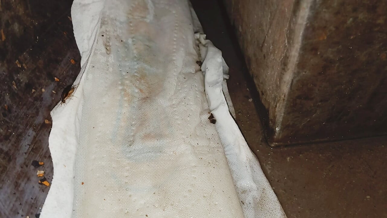 ट्रेन मे चाँद निकला / मे ट्रेन मे भाभी की चुत का सेनेट्रीपैड  दिखा
