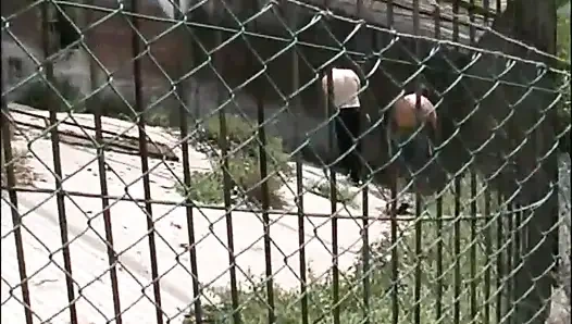 Inglese Slutty Hairy MILF Looking for Big Cocks to Get Fucked in the Park