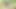 My Girl Friend Pissing In Jungle I See Her Big Pussy And Big Boobs & My Bed Room  Fucking