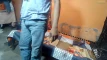Pregled videozapisa