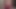 No Sound Dildo Blowjob JOI