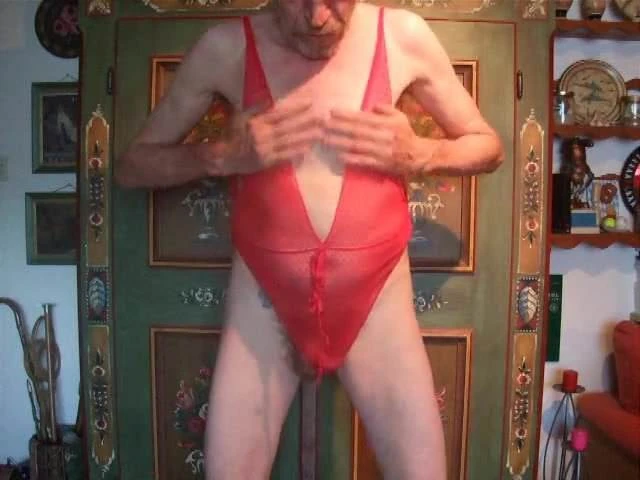 Meine Bodys, Hemdchen und Dessous (Music-Mix)
