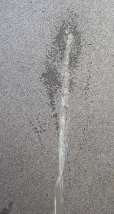 Carpet