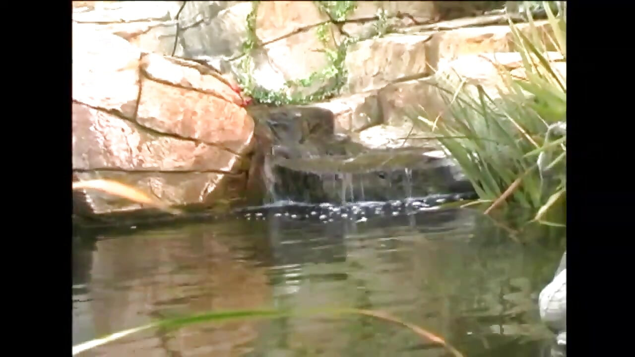 Blondine mit dicken möpsen nimmt einen massiven schwanz