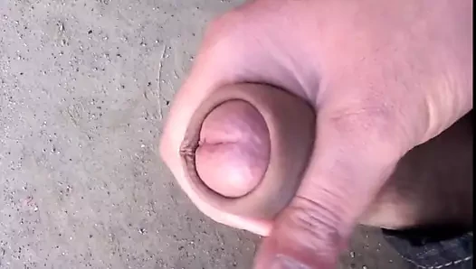 iraqi cock 2017