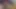 I Let My Stepmom Lie Down on My Knees and Then Just Fuck Her in the Mouth and Cum