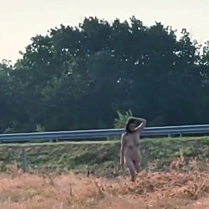 奴隸蒂赫的夏日漫步