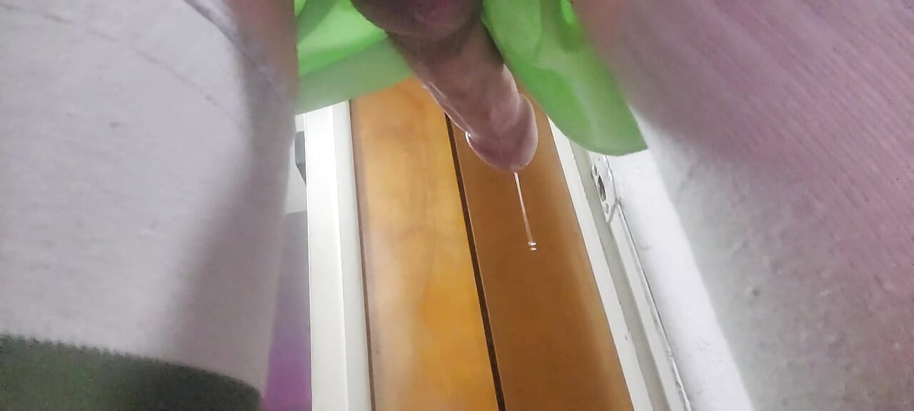 Green Dino Kitchen Pee Play