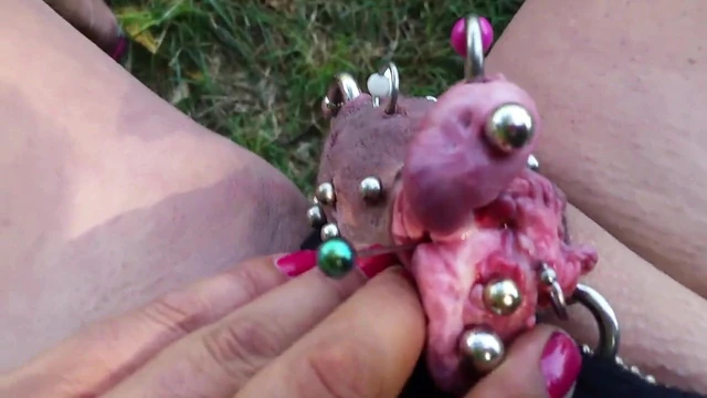 Castrated Sissy s erected split clit