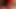 Crazy Hot Self Suck With Powerful Cock Spasm
