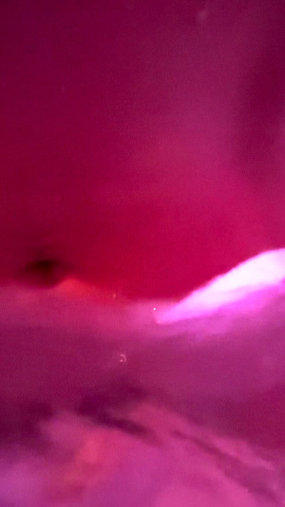 Dogging. Daddy fucks me hard in the jacuzzi. I swallow everything