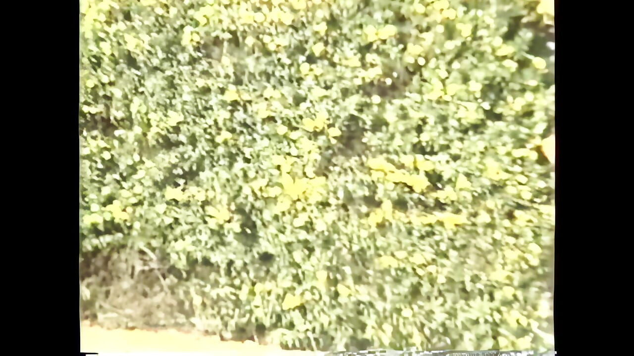 甜美的屁股被猛幹