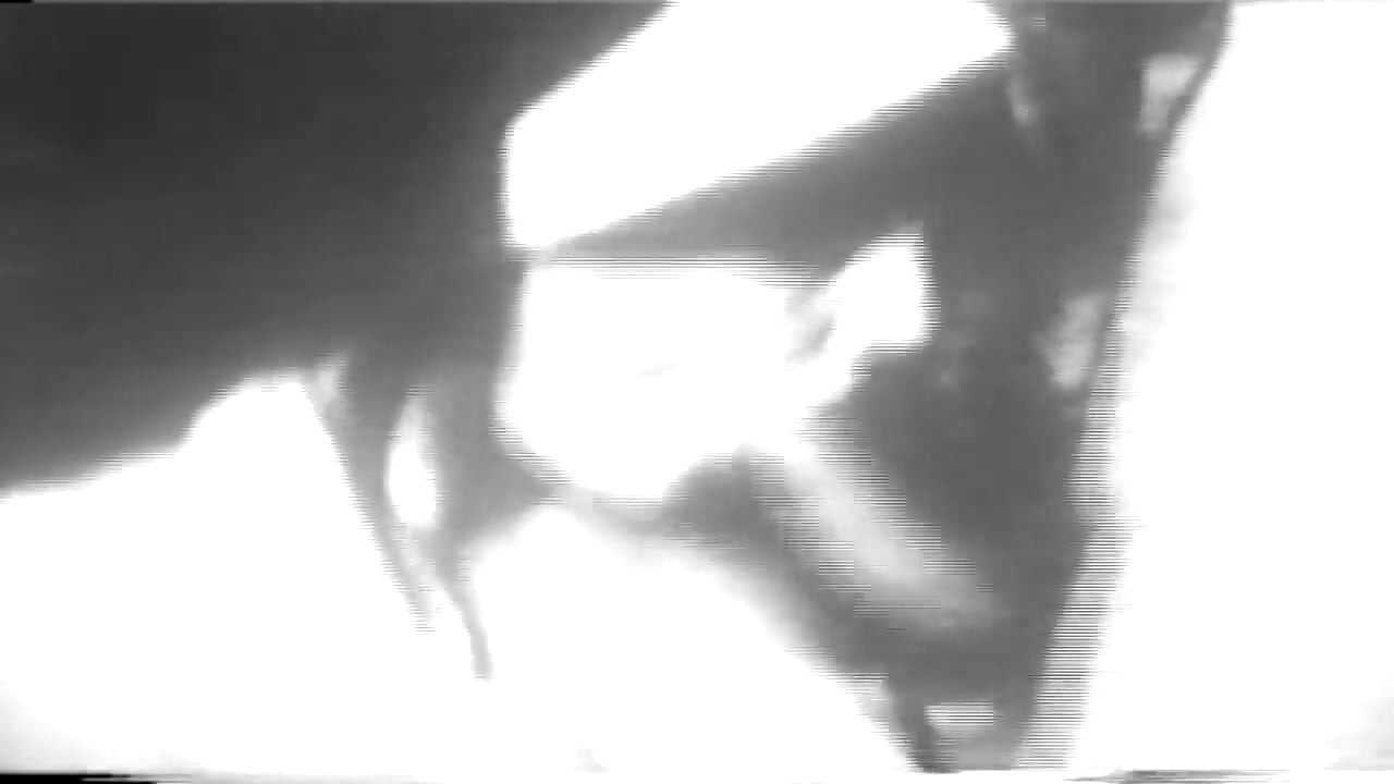 Kolut Old Tajmeri 03 3