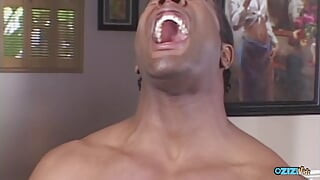 Zizi Vids