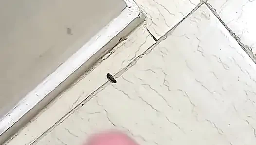 Arabischer cuckold-amateur