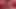 Niclo hot RED