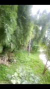 Pratinjau video