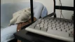 Предпросмотр видео