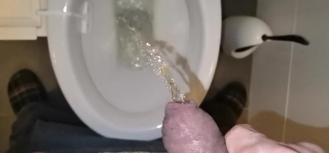 Pisss