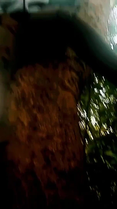 Emotional moment from "Sex behind the tree"