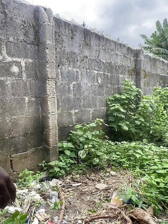 Bush Fucking Section