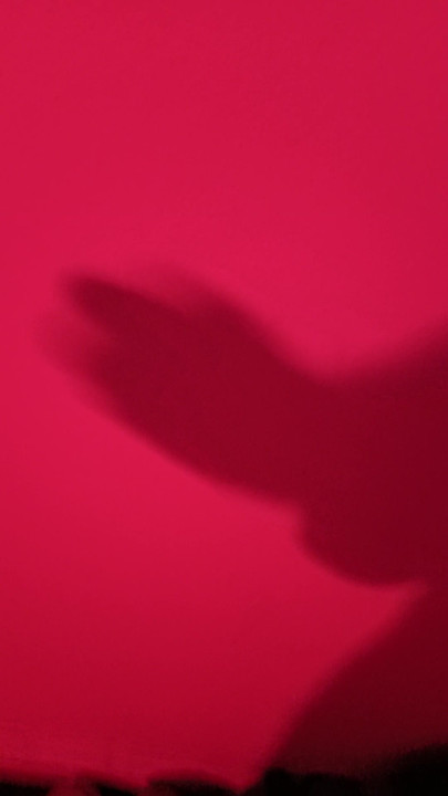 Shadow masturbation