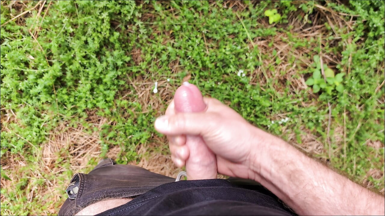 A guy is jerking off in the park.
