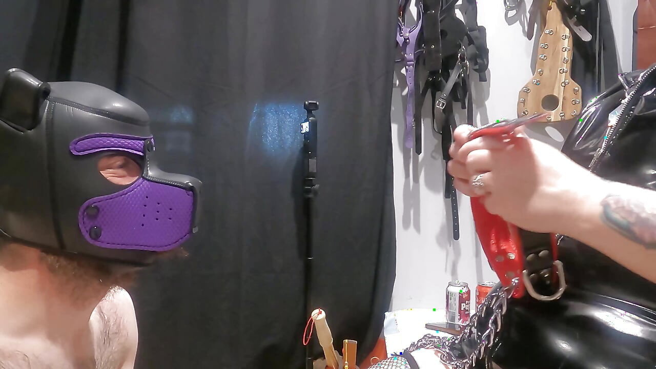Pet Play Praise and pet Collar Training