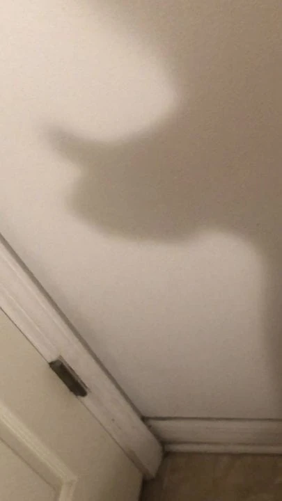 In the shadows