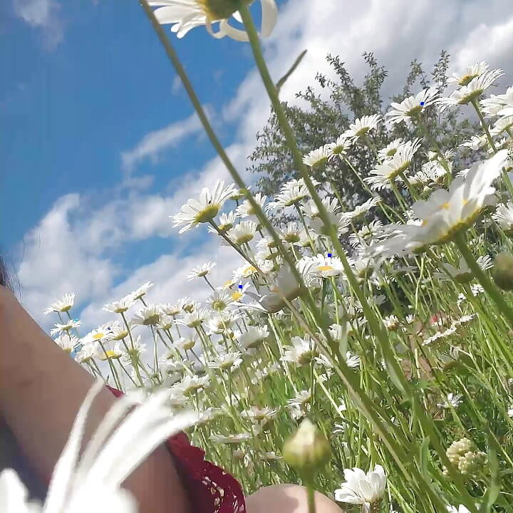 piss for gardend on the grass beautifull