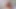 Latest Live Sex Show on Stripchat, Gigi and Dave, Shemale and Man Couple, POV, Behind the Scene, Webcam Sex, 2025-04-15 Ep1