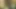 REALLY DES WHEN I SAW THE BEAUTIFUL PUSSY OF MY STEP SISTER GUINEA EQUATOR PORNO SEX VIDEOS XXX
