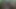 My husband's friend fucks me in the mouth with a big dick and ends up with a lot of sperm. I love cum