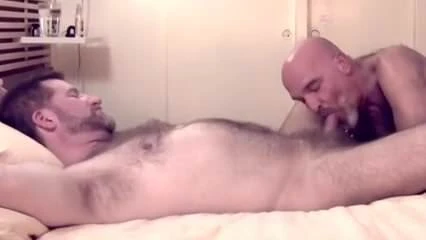 クマの性交