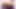 tranny girl with fulfilled breasts horny rubs the mega cock and jerks off into the camera