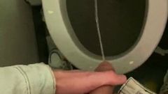 Jerk off and pee in the toilet of the plane